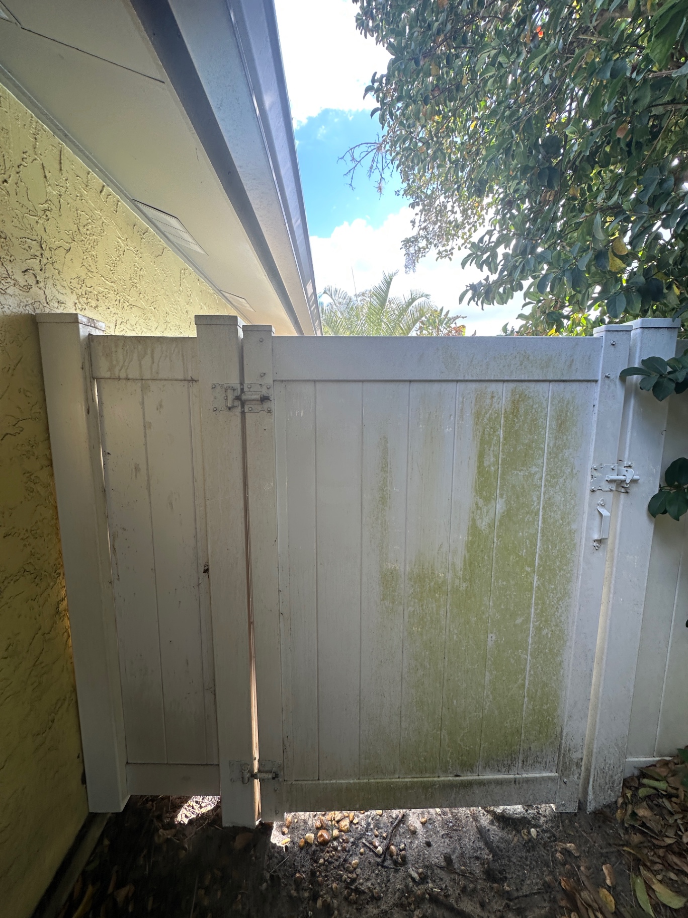 Vinyl gate — algae and mildew before cleaning
