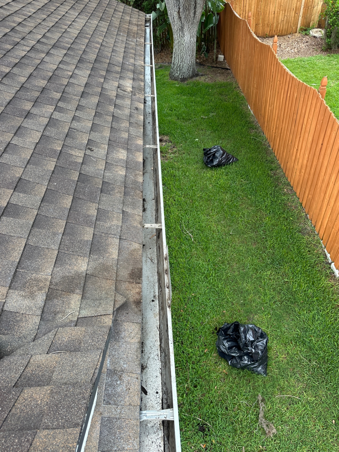 Gutter cleaning — bagged and hauled away