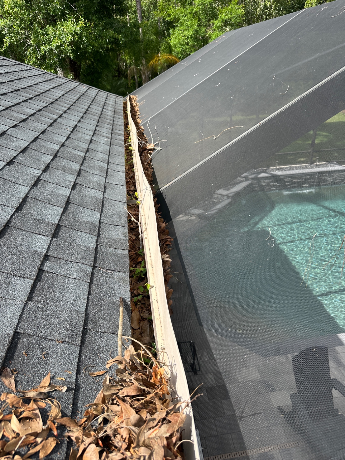 Screen enclosure gutter — heavy leaf load