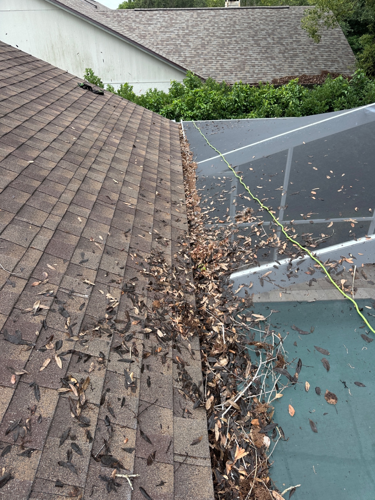 Gutter Cleaning