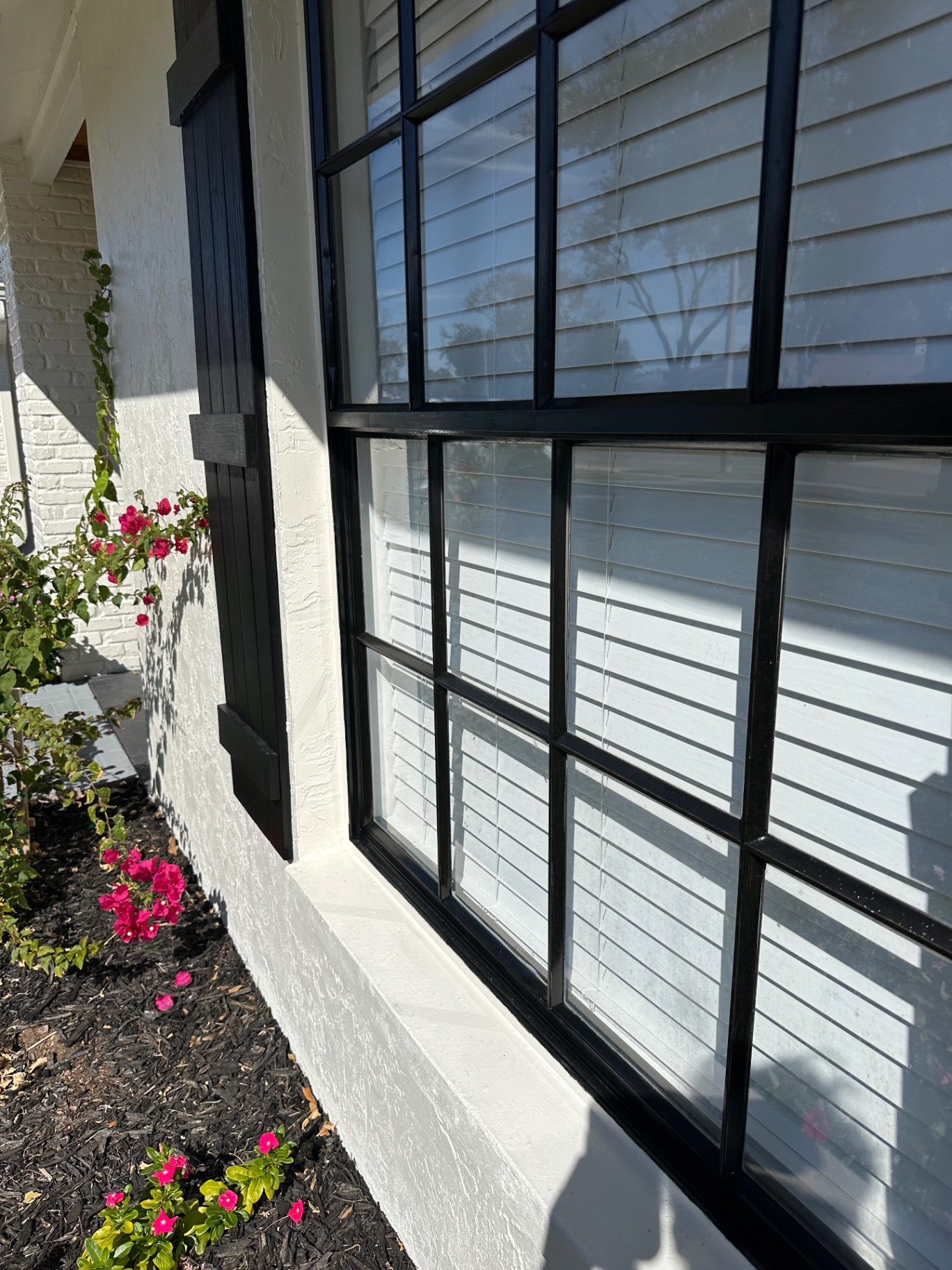 Black-framed windows — streak-free after service