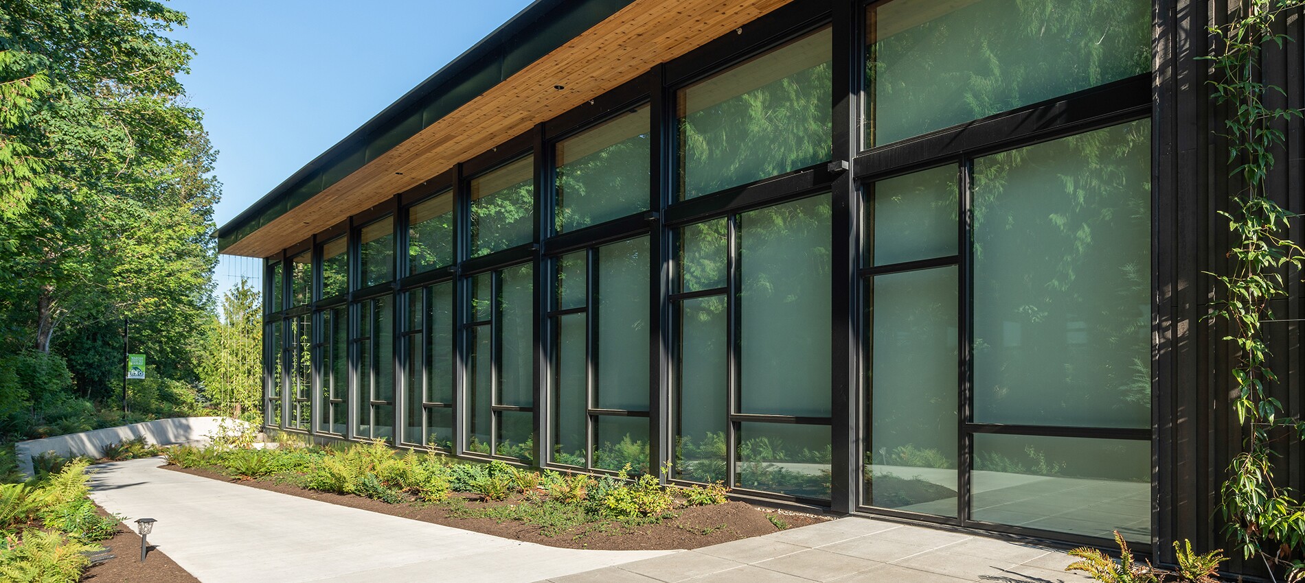Commercial Window Cleaning