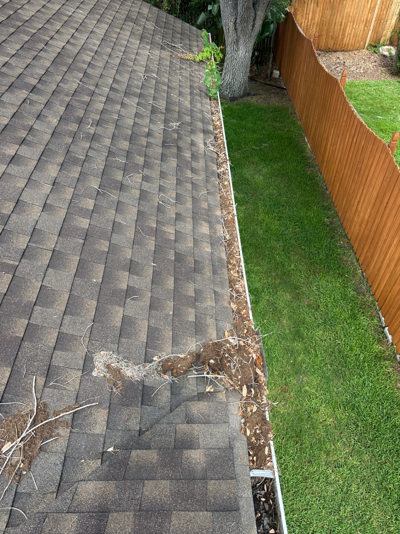 Gutter cleaning — leaves and buildup cleared