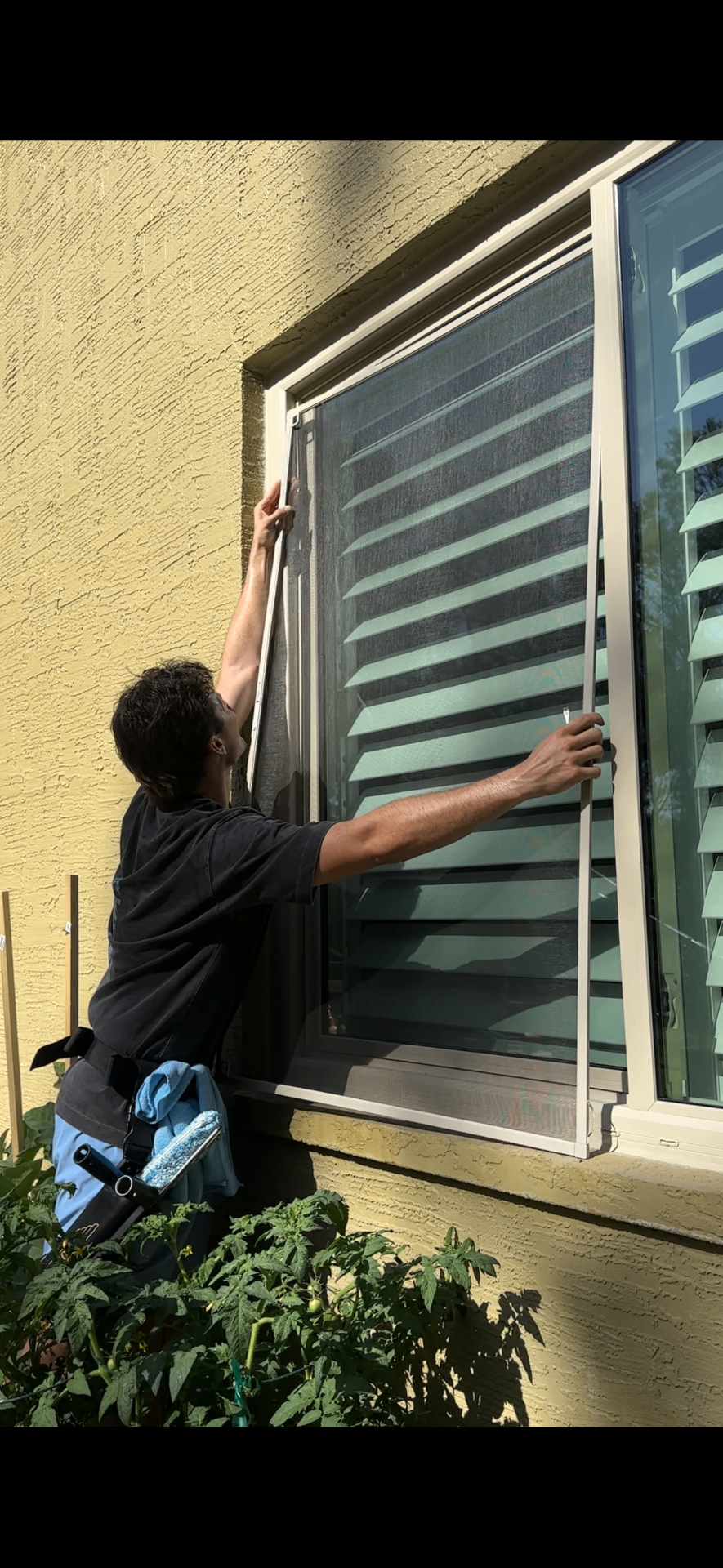 Screen removal & reinstall — window screen service
